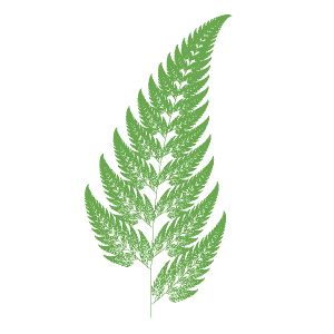 barnsley fern